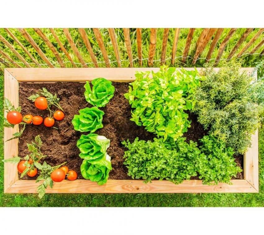 Westmann Plantenbak Kruidenbak WMHL170 - 170x90x84 cm