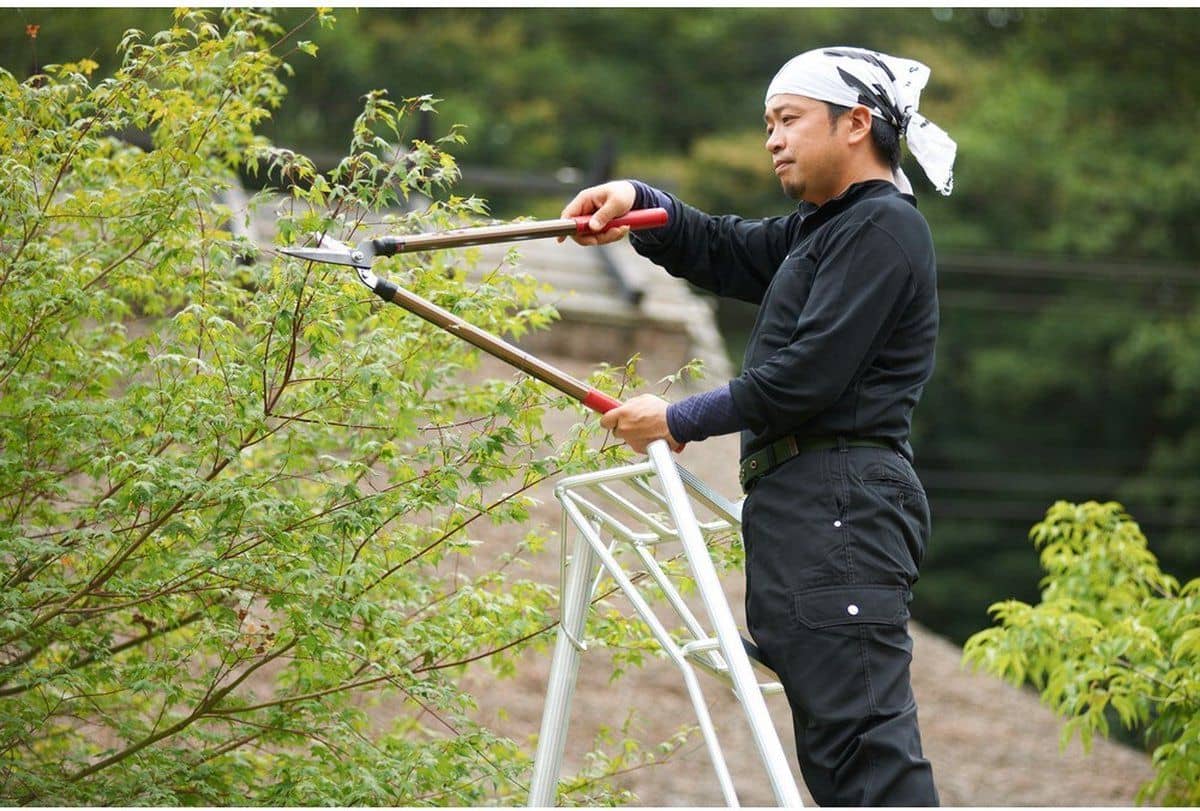 Niwaki Driepoot Tuinladder 300 cm Snoeiladder Tripod Ladder - Plukladder NW03000
