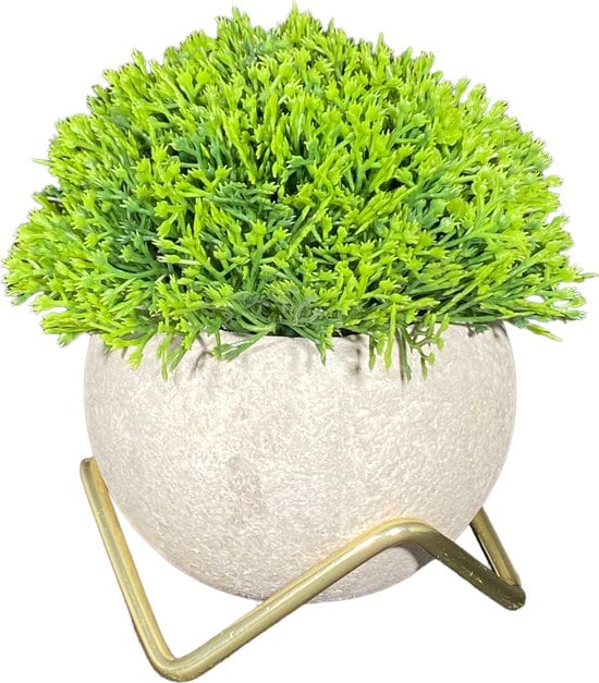 GreenDream® Kunstplanten voor binnen - 15x12 cm - Set van 3 stuks - Nep planten in pot - Vetplanten - Cadeautip