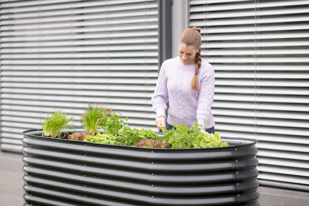Metalen Plantenbak Westmann ISPB170H-A - Bloembak - Tuin Hochbeed - 240x80x82 cm