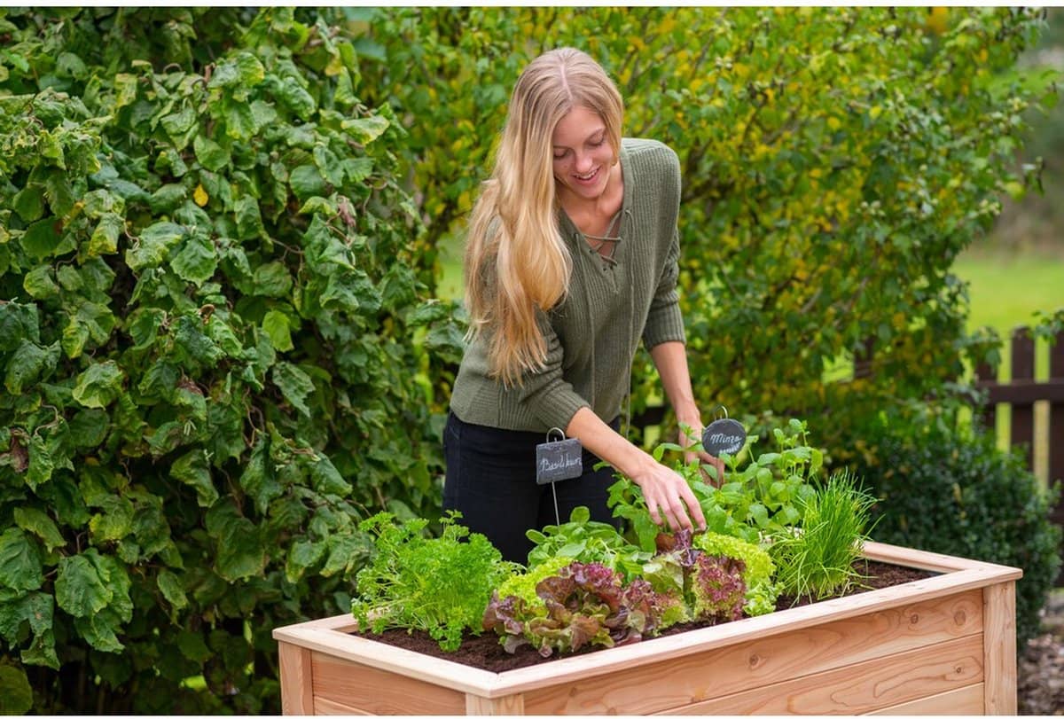 Westmann Verhoogde Plantenbak WM102422 - Moestuin op poten
