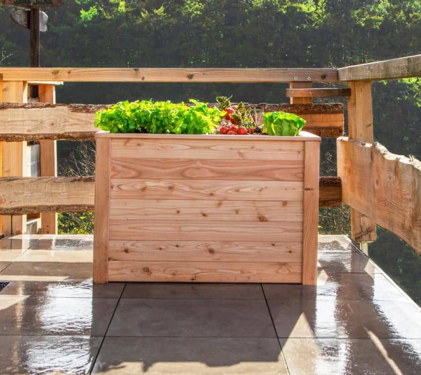 Westmann Plantenbak Kruidenbak WMHL100 - 100x65x66 cm