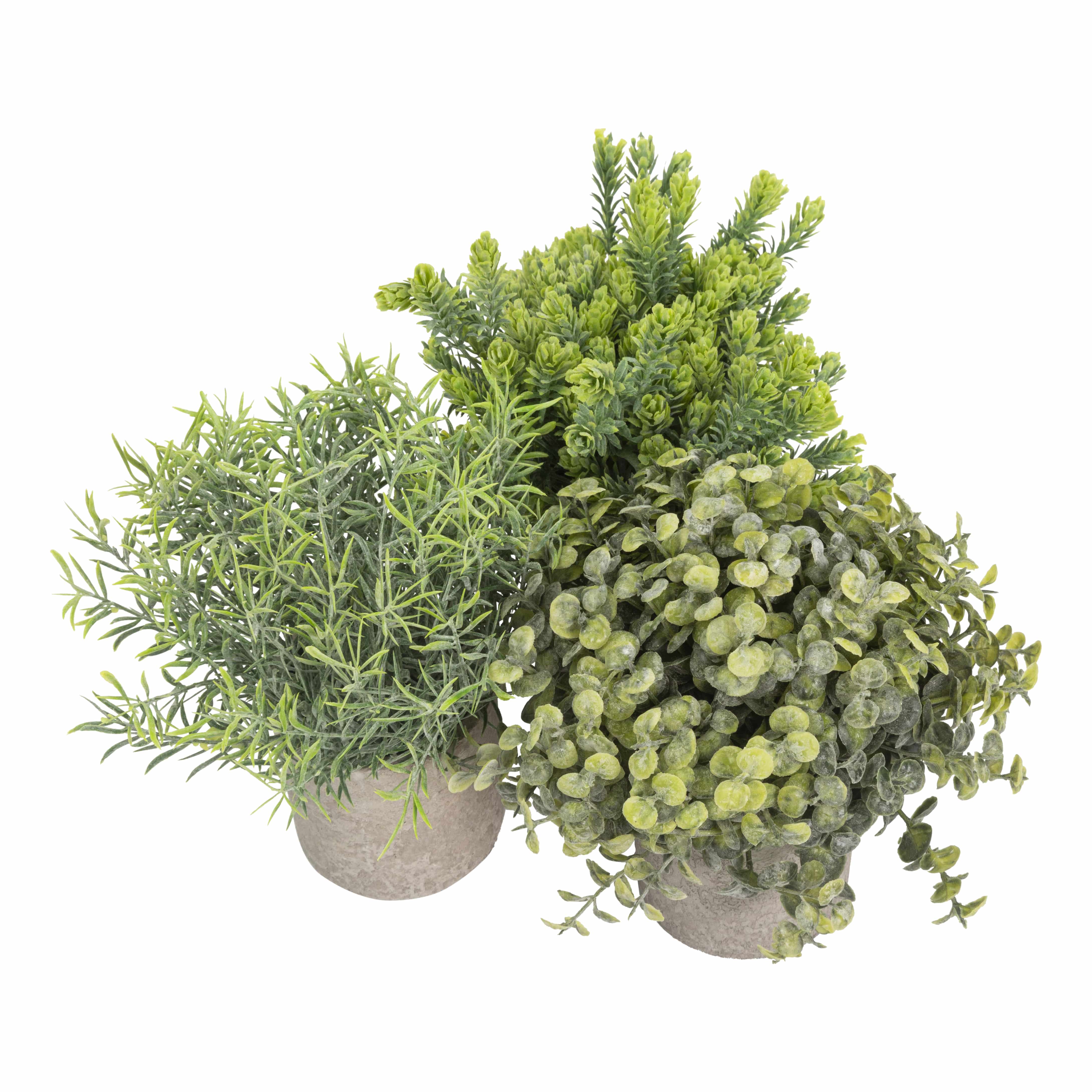 GreenDream® Kunstplanten set met 3 Kleine kunstplanten - Kunstplanten - 20cm hoogte