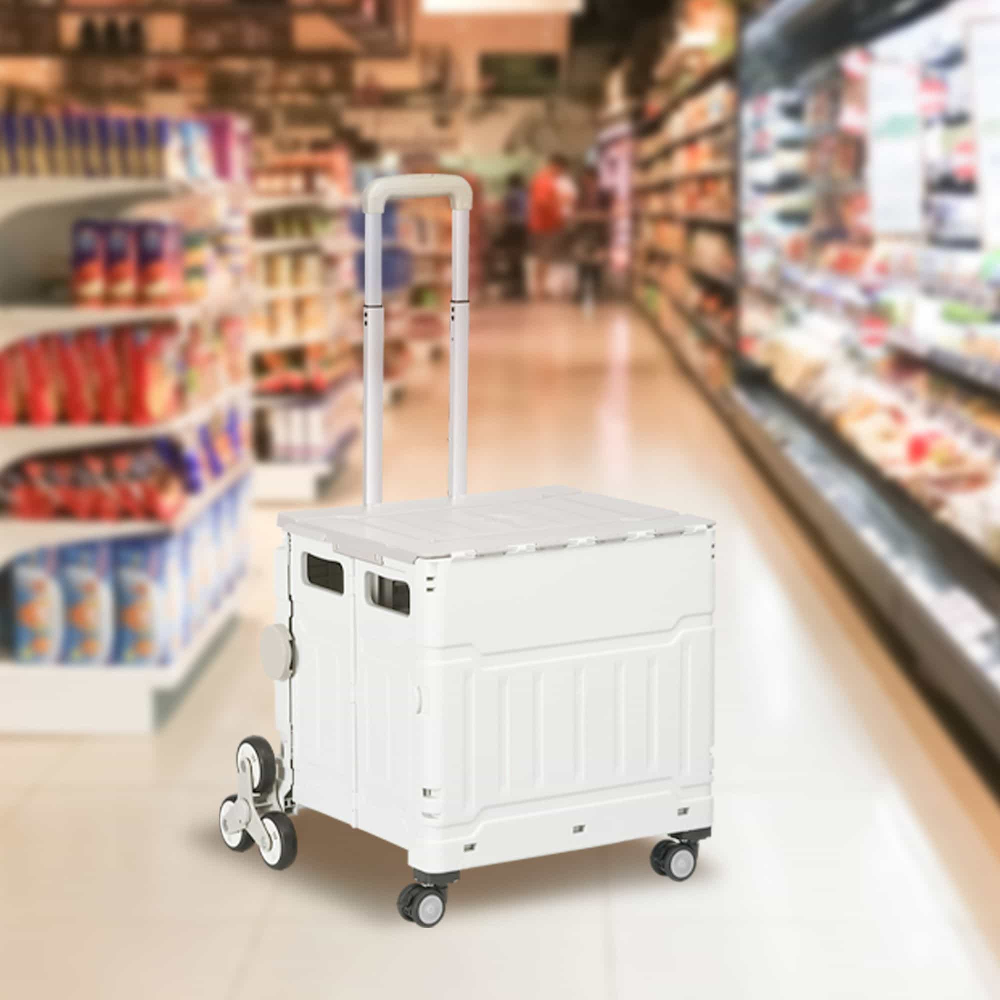 4goodz Winkelwagen Vouwkrat Trapklimmer Opvouwbaar max. 65 Kg Belastbaar - Wit