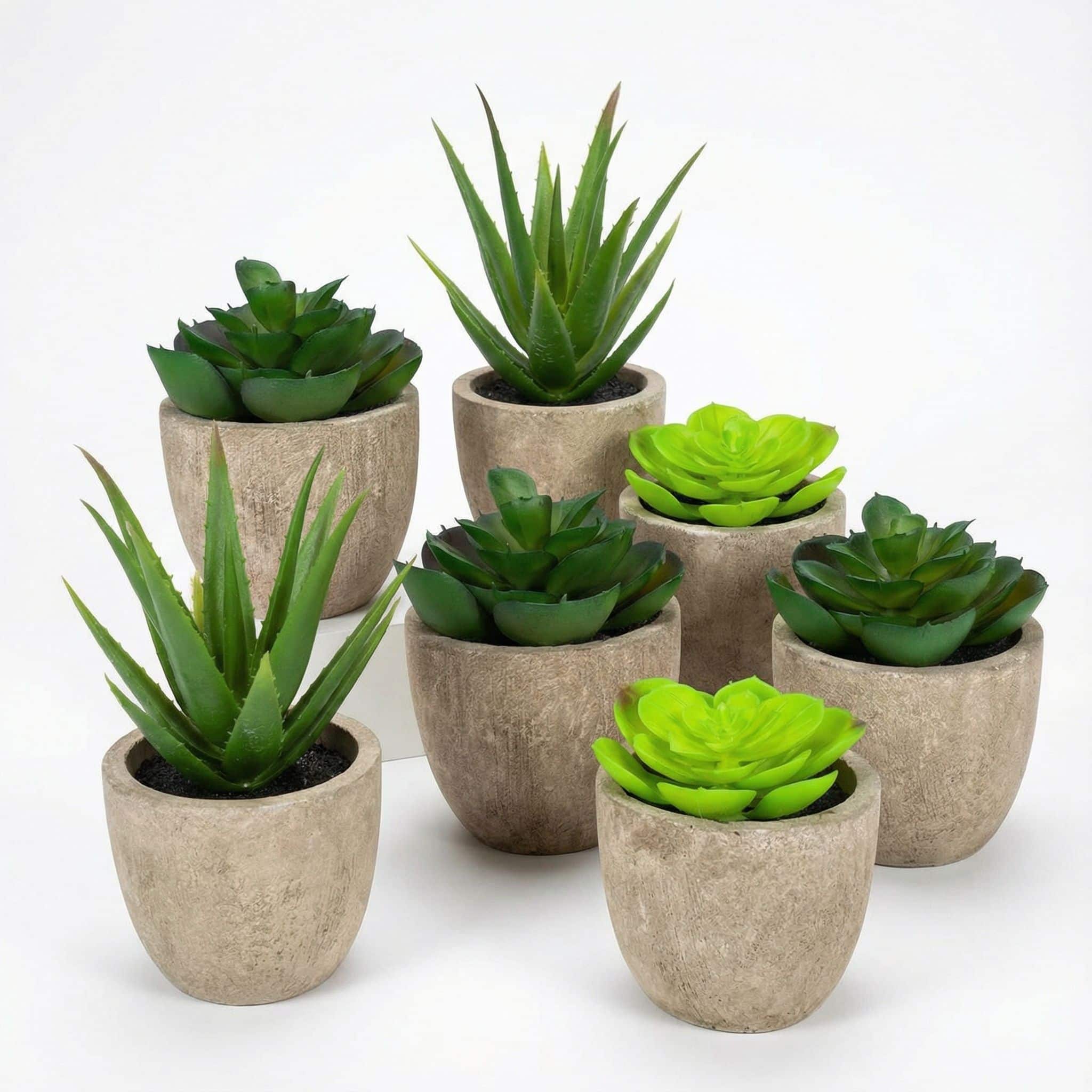 GreenDream® 6 stuks Kunstplanten - Nep planten Vetplanten - Cadeautip