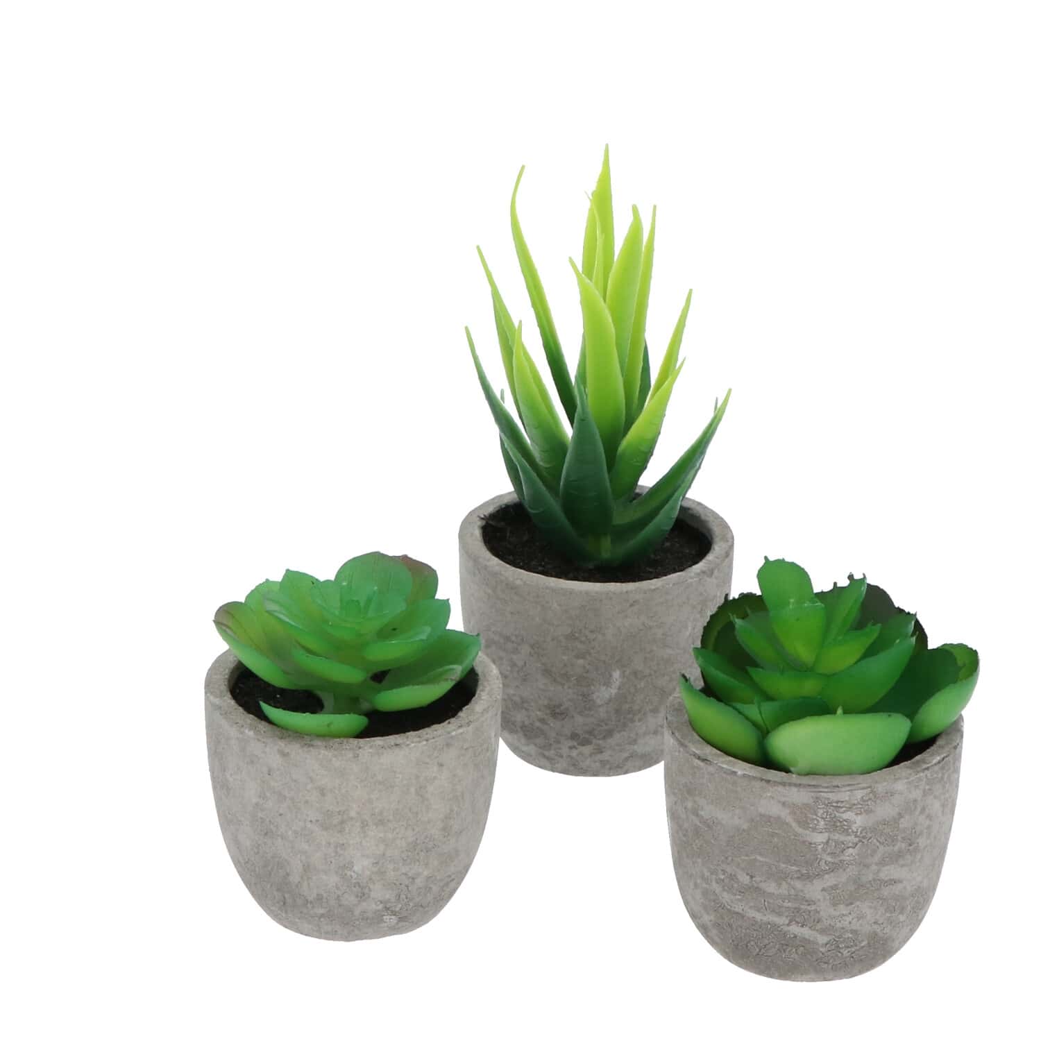 GreenDream® 3 stuks Kunstplanten - Nep planten Vetplanten - Cadeautip