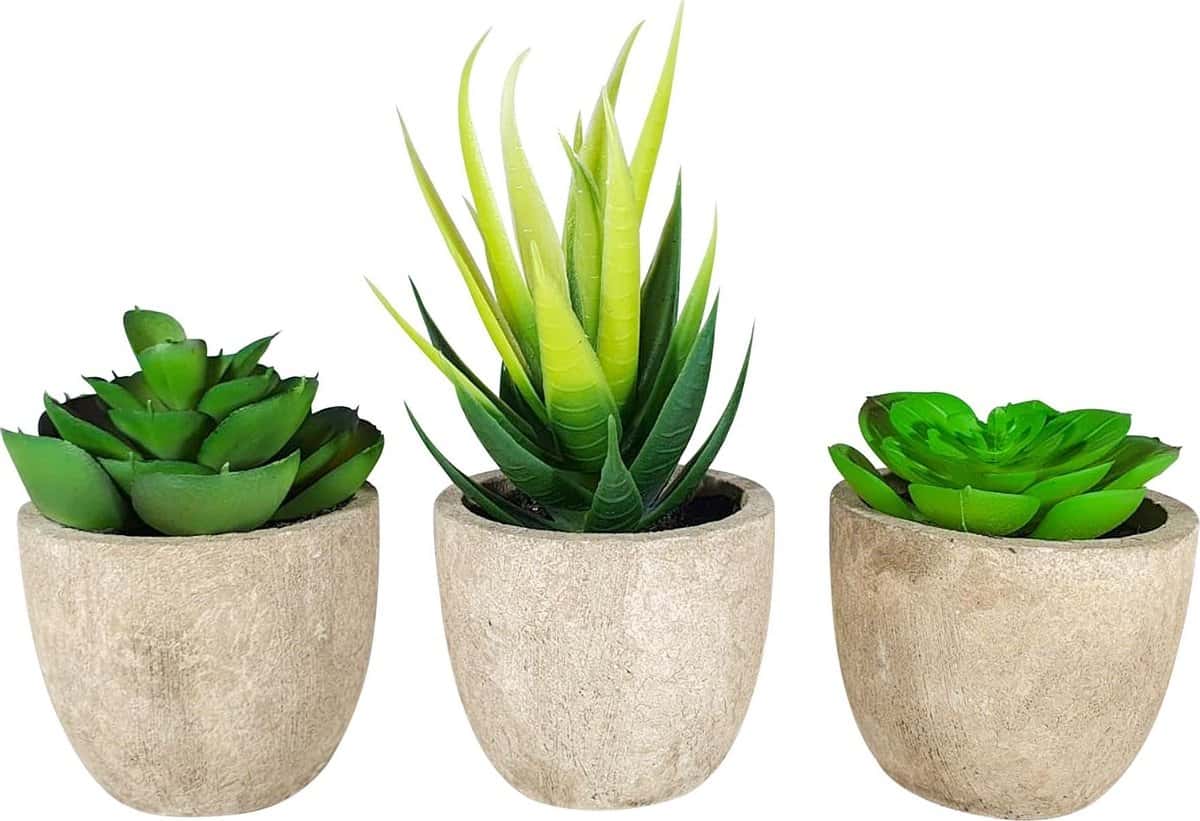 GreenDream® 3 stuks Kunstplanten - Nep planten Vetplanten - Cadeautip