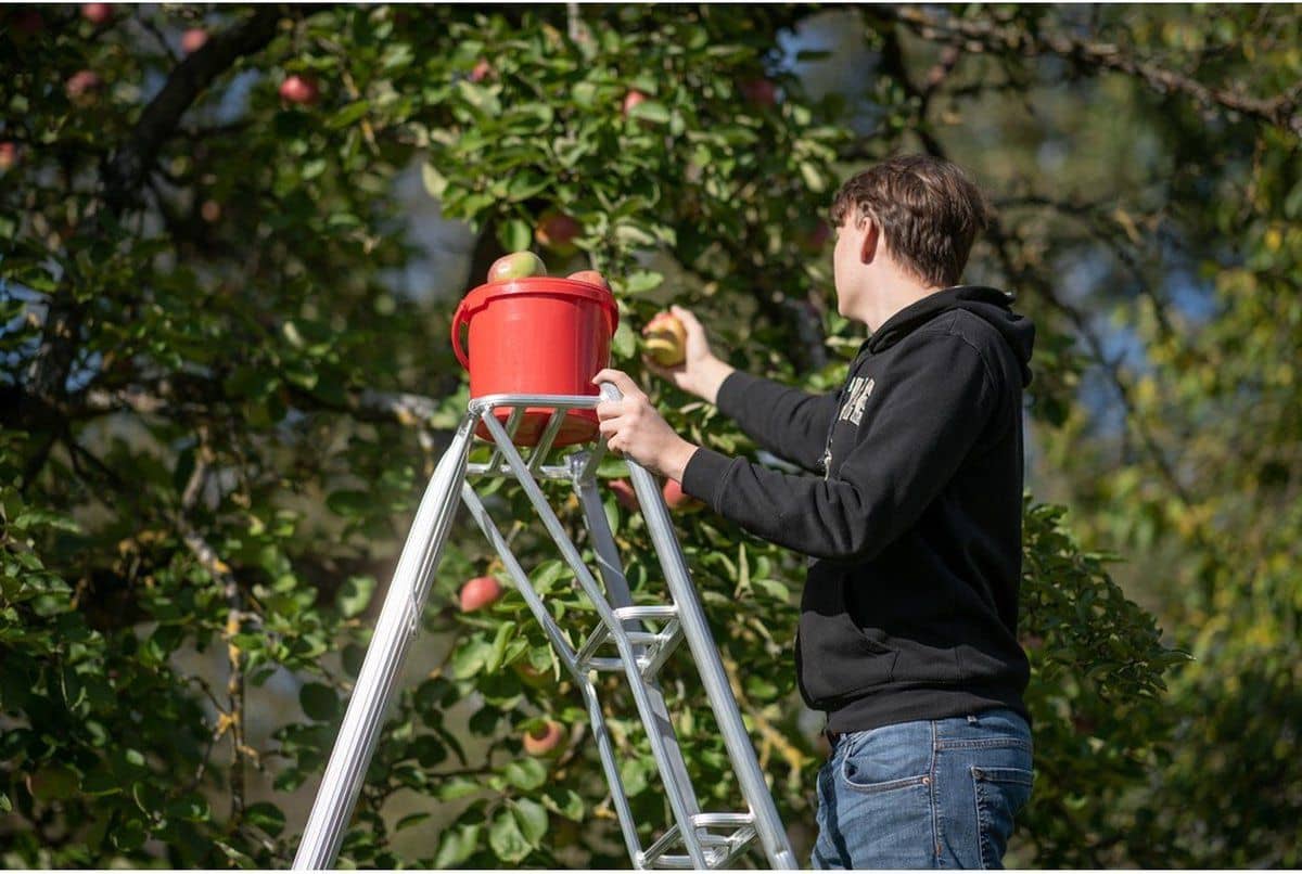 Niwaki 3-poot Tuinladder 270 cm in Hoogte Verstelbaar - Plukladder NW02700 Niwaki 3-poot Tuinladder 270 cm in Hoogte Verstelbaar - Plukladder NW02700