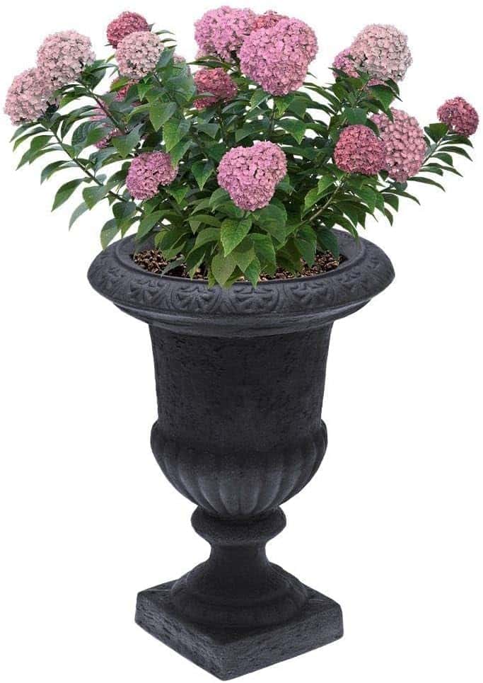 4goodz Chateau - Klassieke Plantenbak Tuinvaas Bloempot 55 cm - Grijs