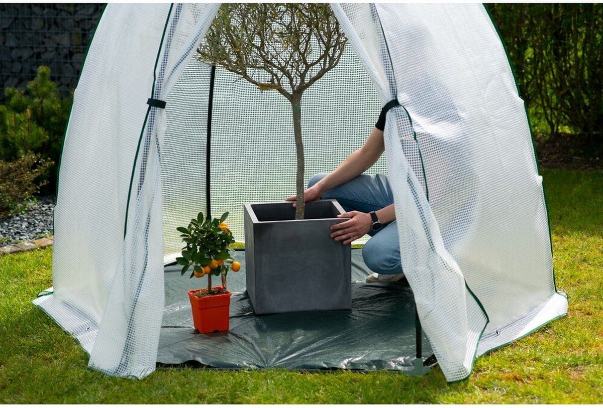 Westmann Munt - Overwinteringstent voor planten WMHDZ02001 200x200 cm Westmann Munt - Overwinteringstent voor planten WMHDZ02001 200x200 cm