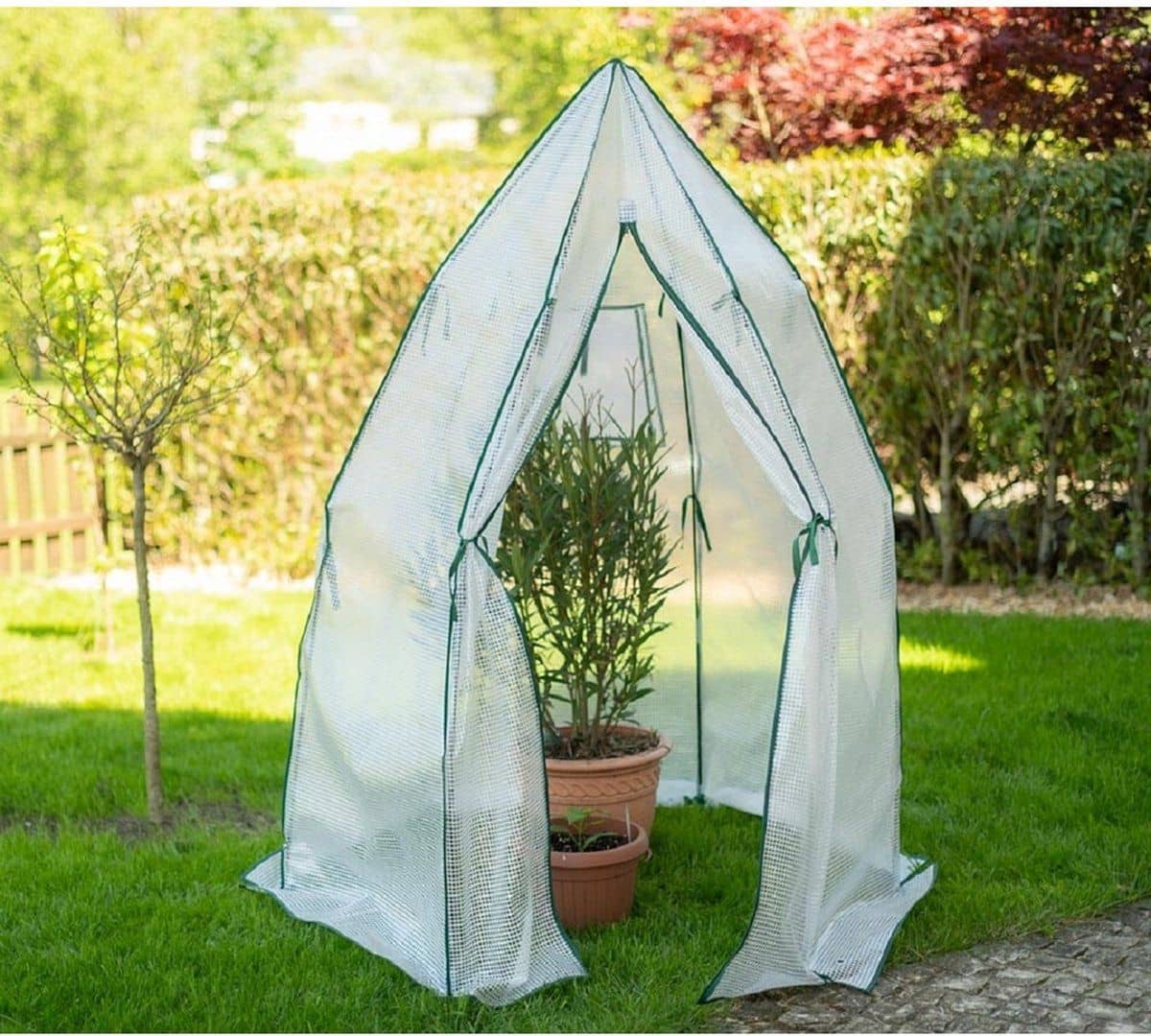 Westmann Olive - Overwinteringstent voor planten 160x160 cm