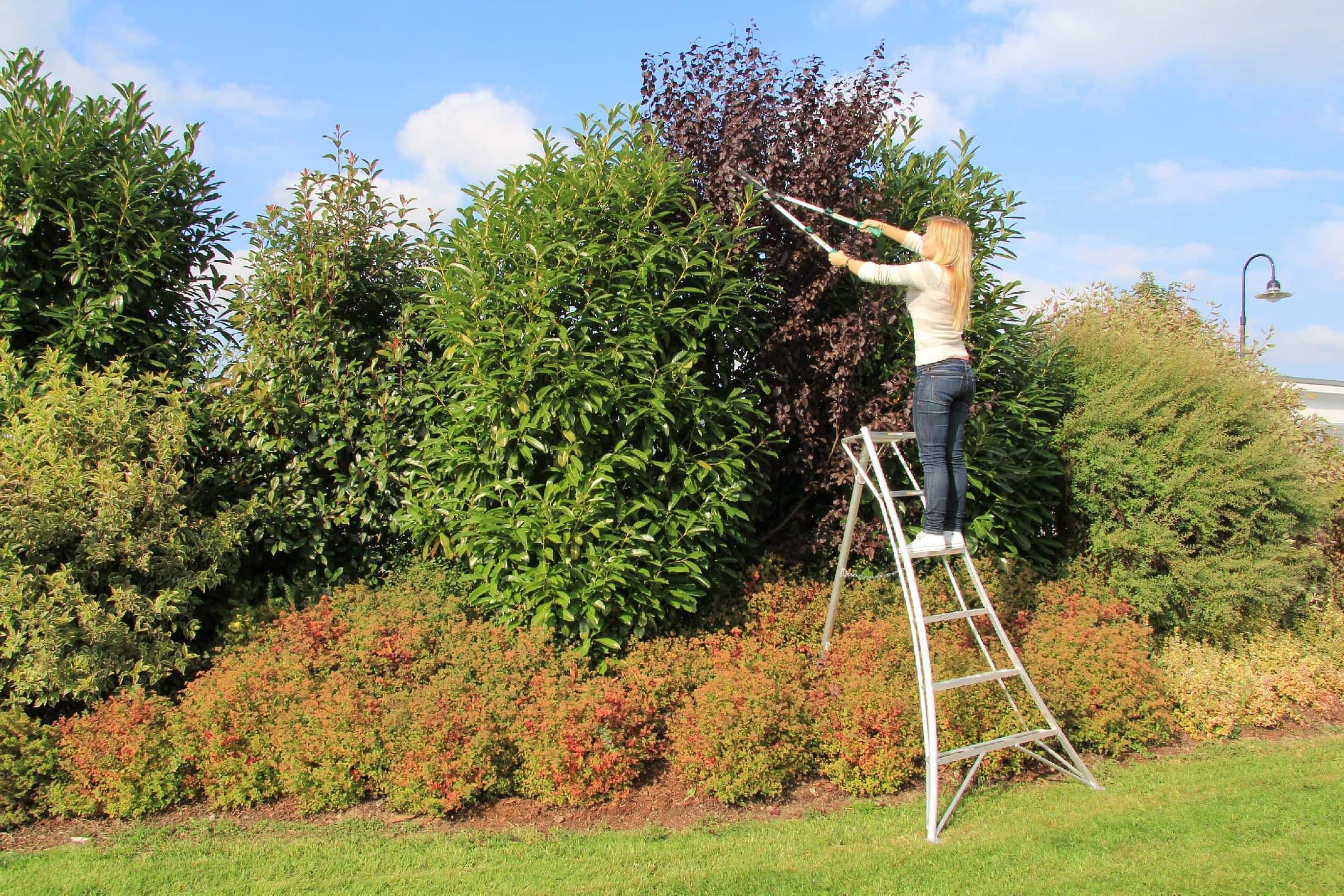 Niwaki Driepoot Tuinladder 180 cm Snoeiladder Tripod Ladder - Plukladder