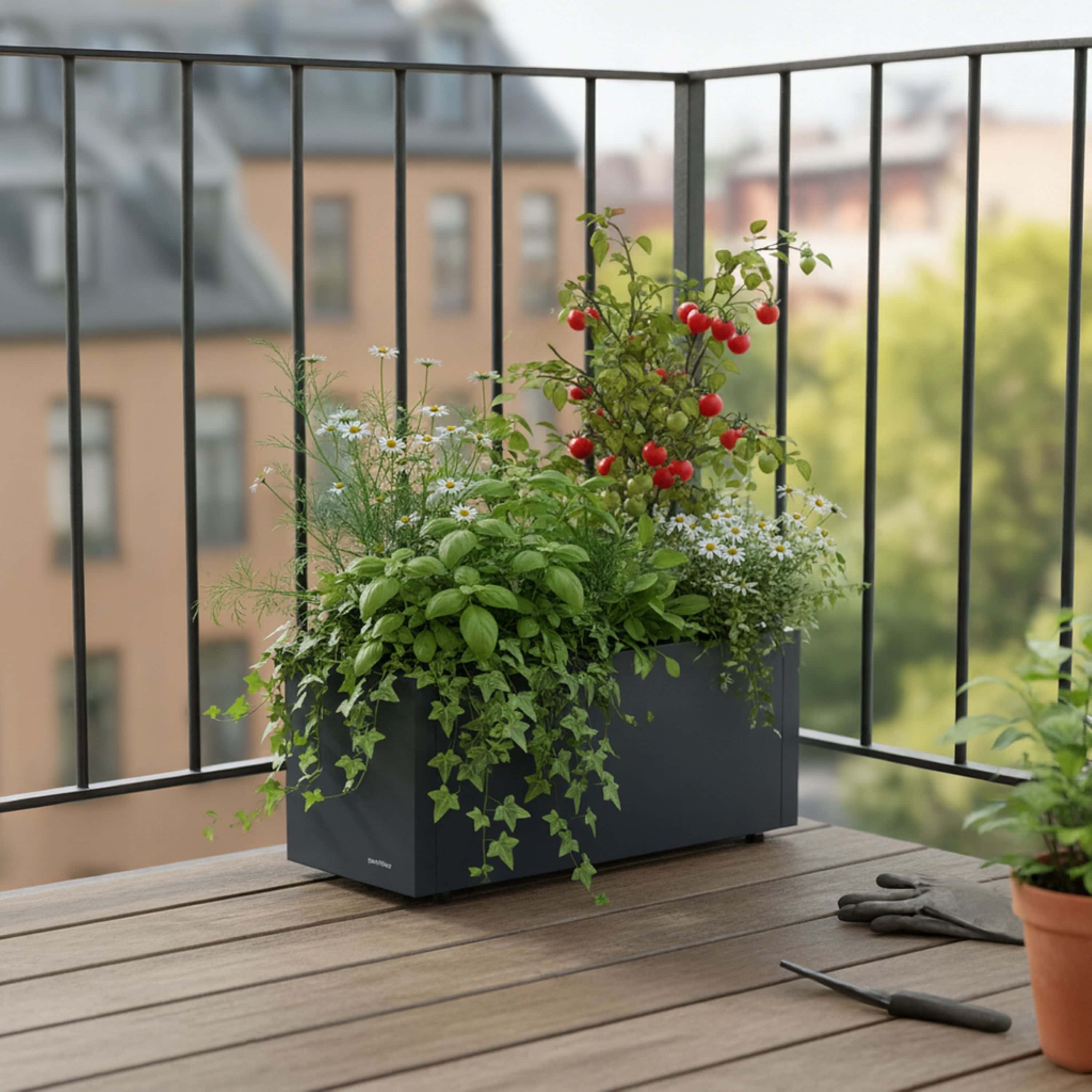 Herstera Garden Balcony S - Plantenbak Staal 60x25x25 cm - Antraciet