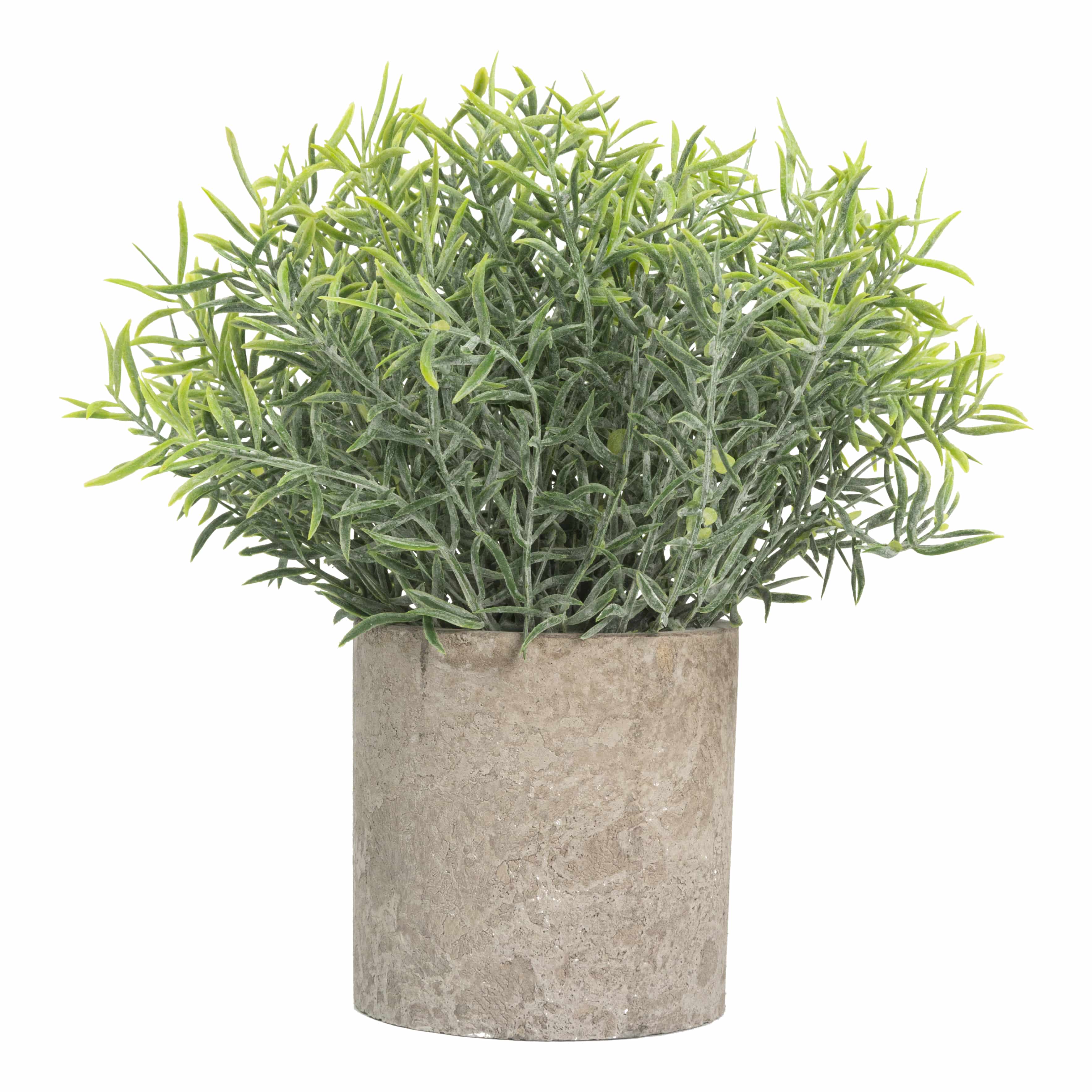 GreenDream® Kunstplanten set met 3 Kleine kunstplanten - Kunstplanten - 20cm hoogte