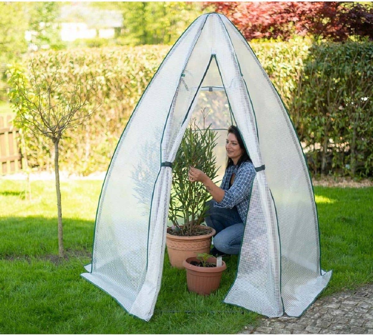Westmann Olive - Overwinteringstent voor planten 160x160 cm