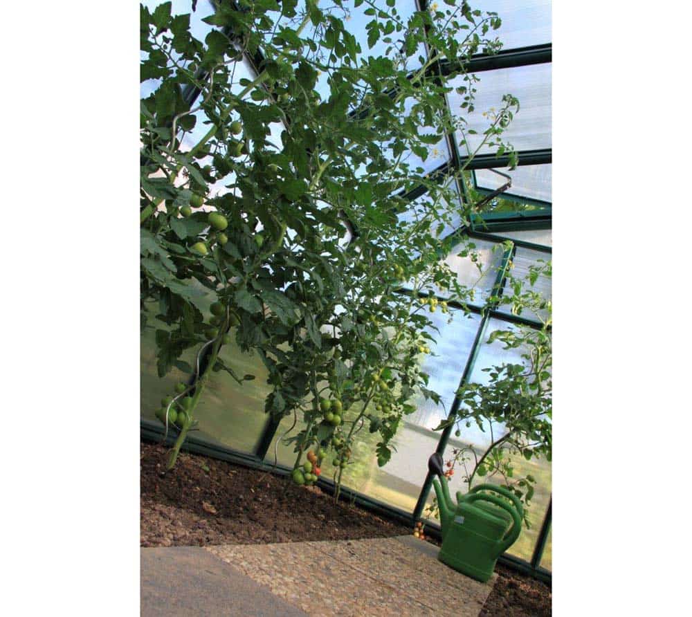 Rion RI07500-1 Broeikas met Vloer - Tuinkas - 326x204x198 cm