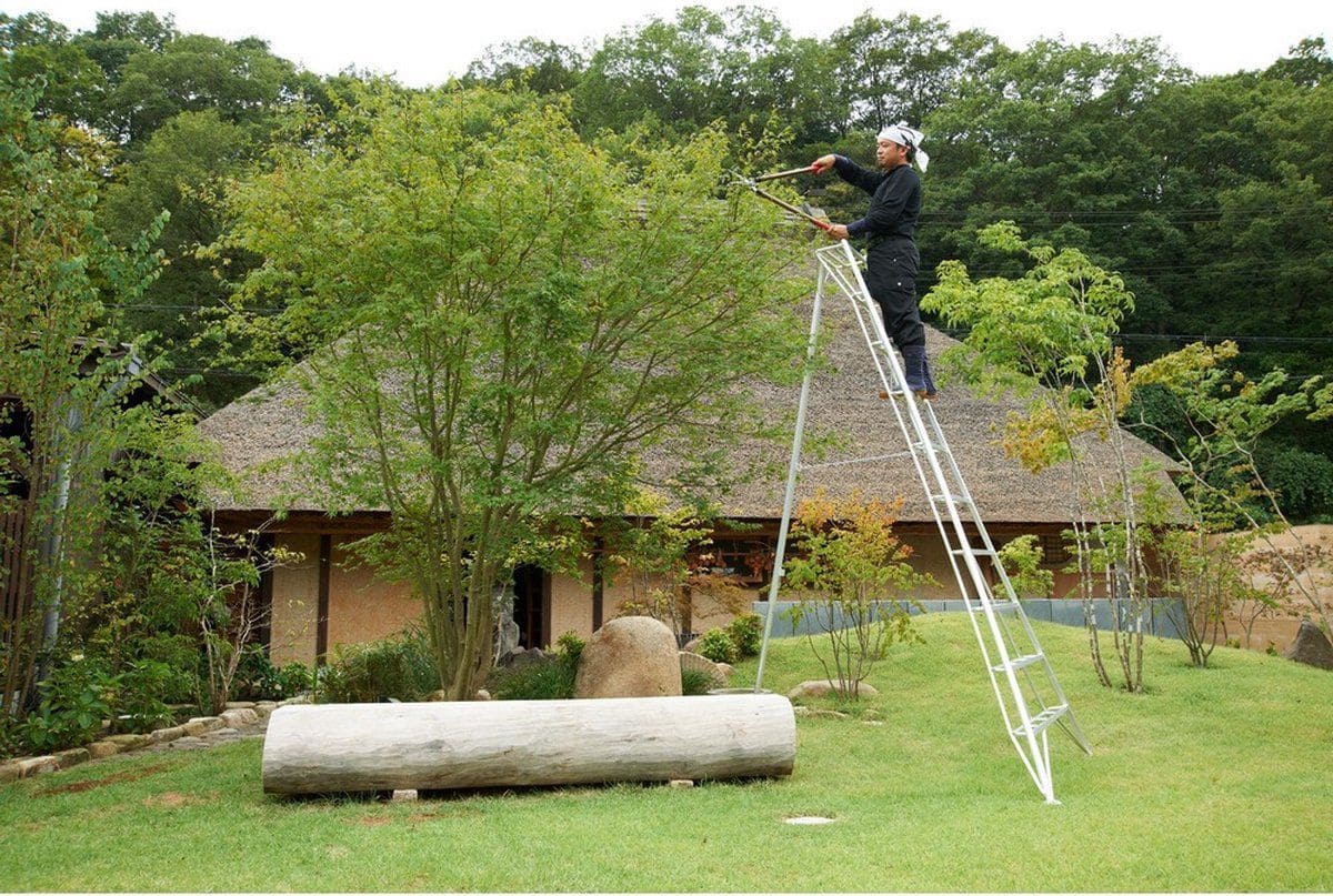 Niwaki Driepoot Tuinladder 300 cm Snoeiladder Tripod Ladder - Plukladder NW03000