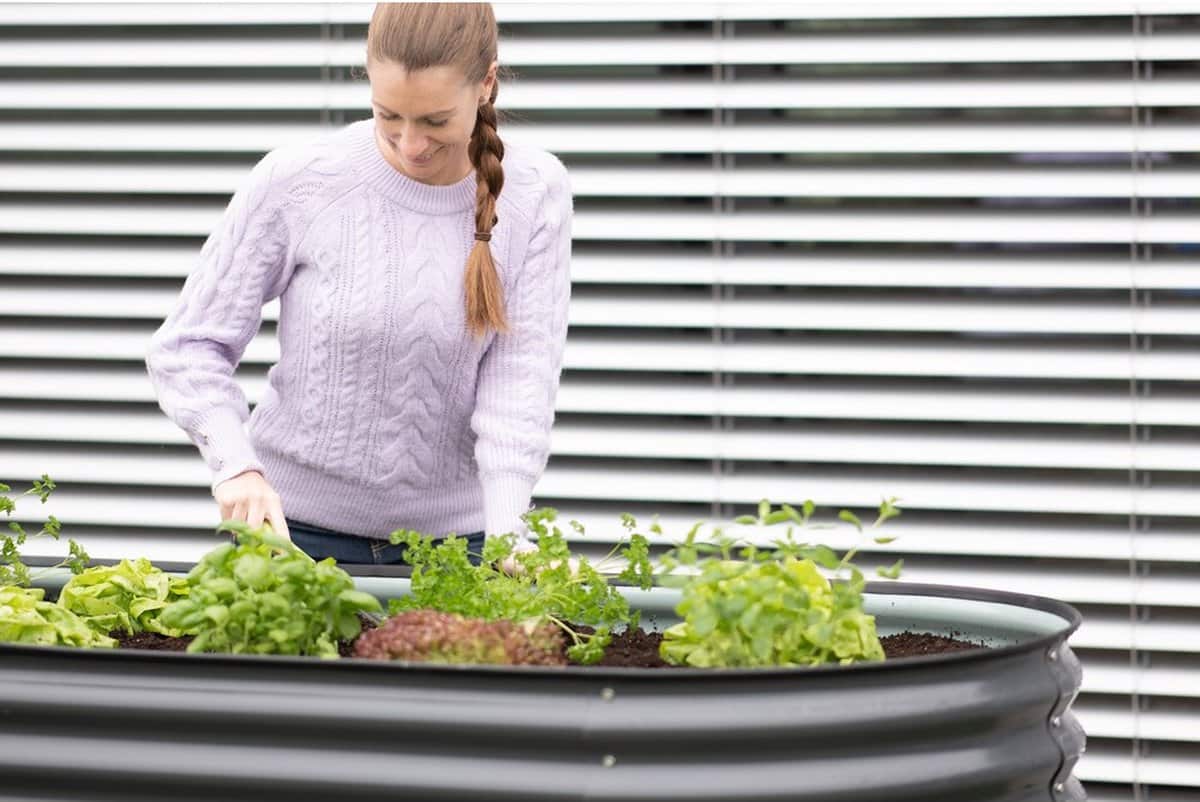Metalen Plantenbak Westmann ISPB170H-A - Bloembak - Tuin Hochbeed - 240x80x82 cm