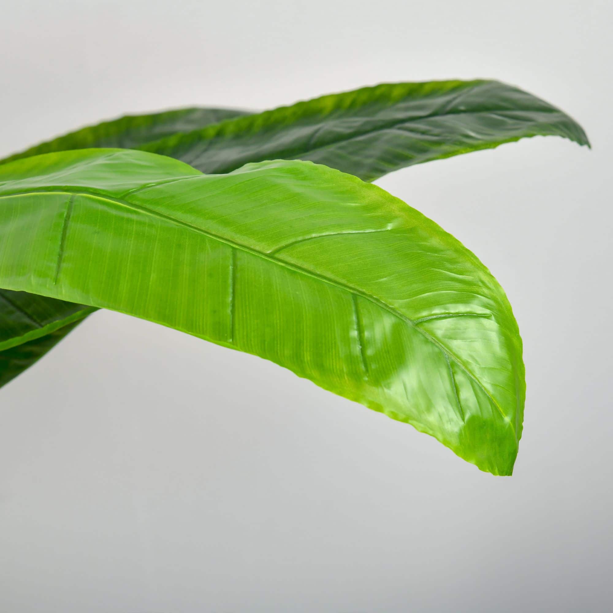 4goodz Homcom Kunstplant Bananenboom Decoratieve Kunstplant 150 cm