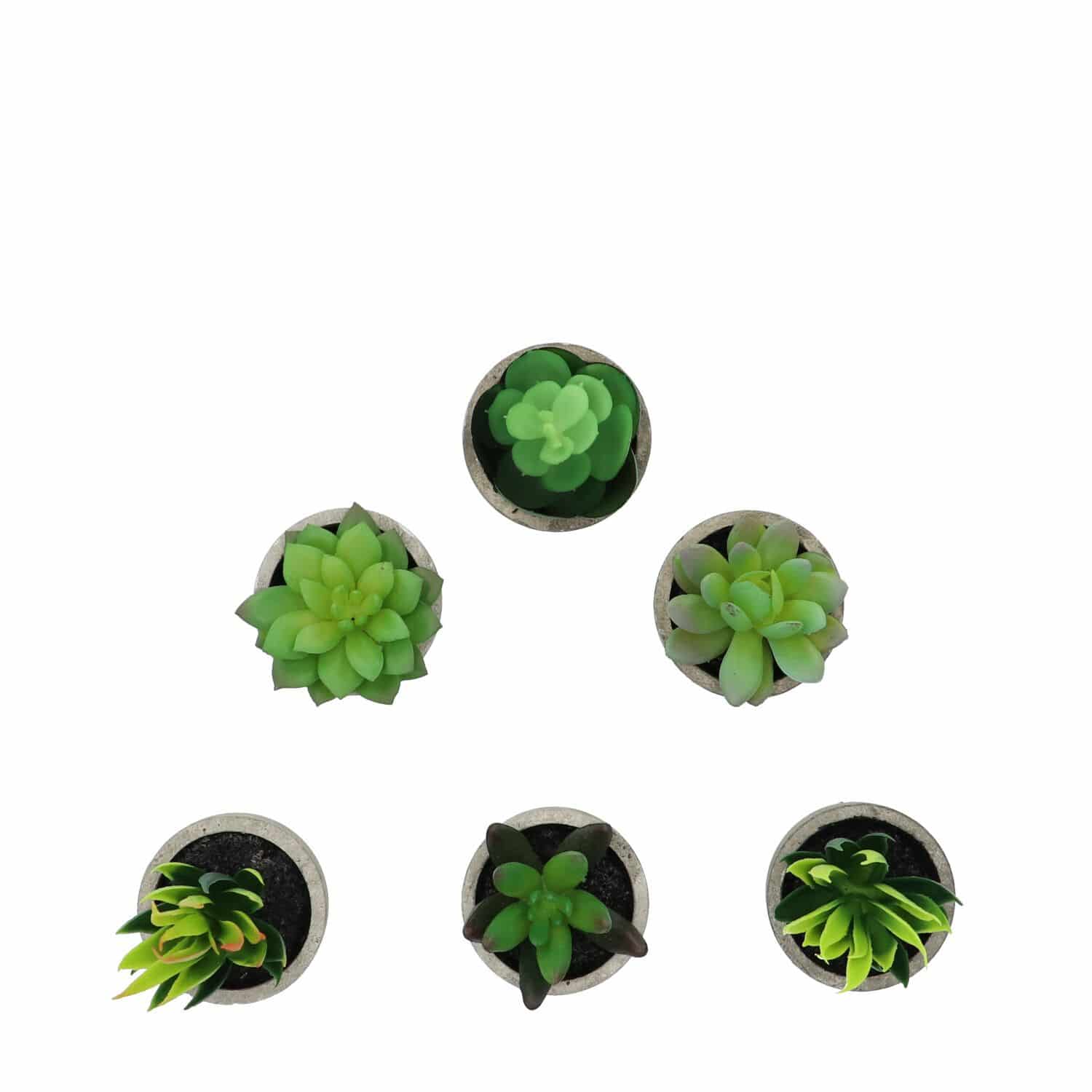 GreenDream Mini Kunstplanten - Vetplanten in Pot 6 stuks - Cadeautip