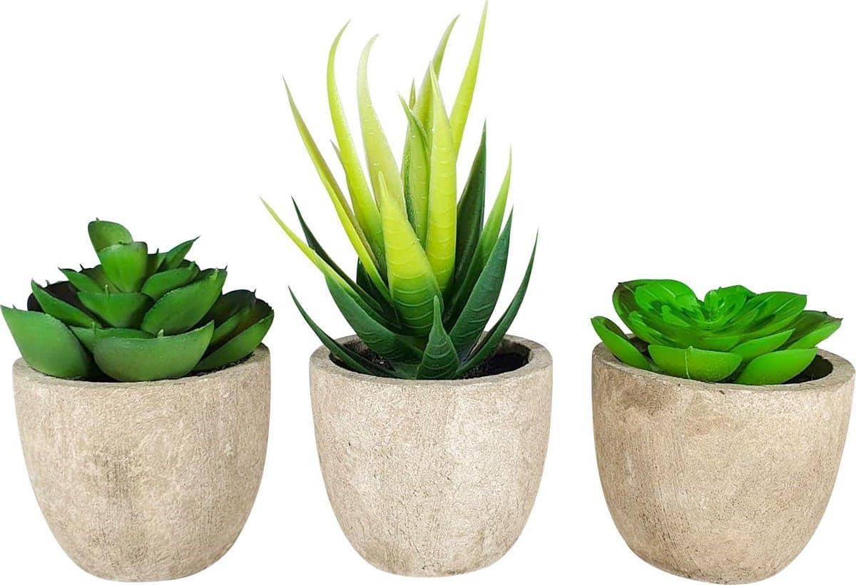 GreenDream® 6 stuks Kunstplanten - Nep planten Vetplanten - Cadeautip GreenDream® 6 stuks Kunstplanten - Nep planten Vetplanten - Cadeautip