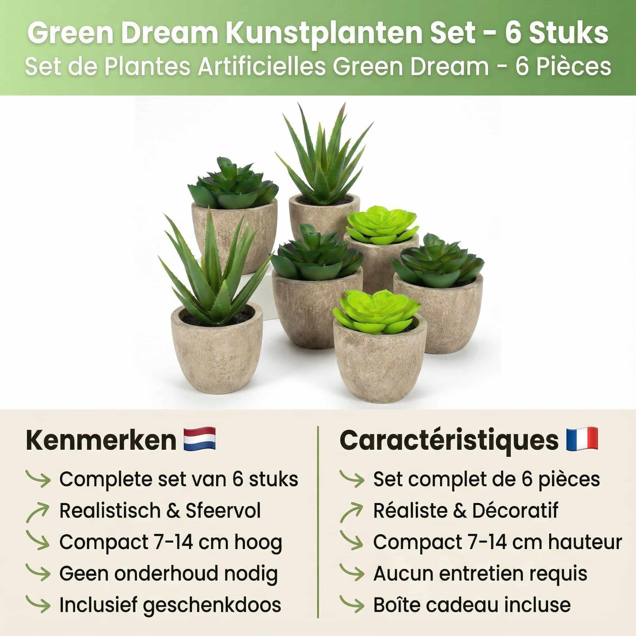 GreenDream® 6 stuks Kunstplanten - Nep planten Vetplanten - Cadeautip GreenDream® 6 stuks Kunstplanten - Nep planten Vetplanten - Cadeautip