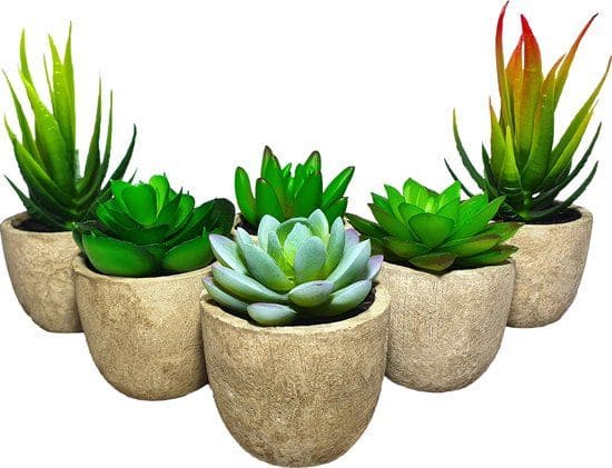 GreenDream Mini Kunstplanten - Vetplanten in Pot 6 stuks - Cadeautip