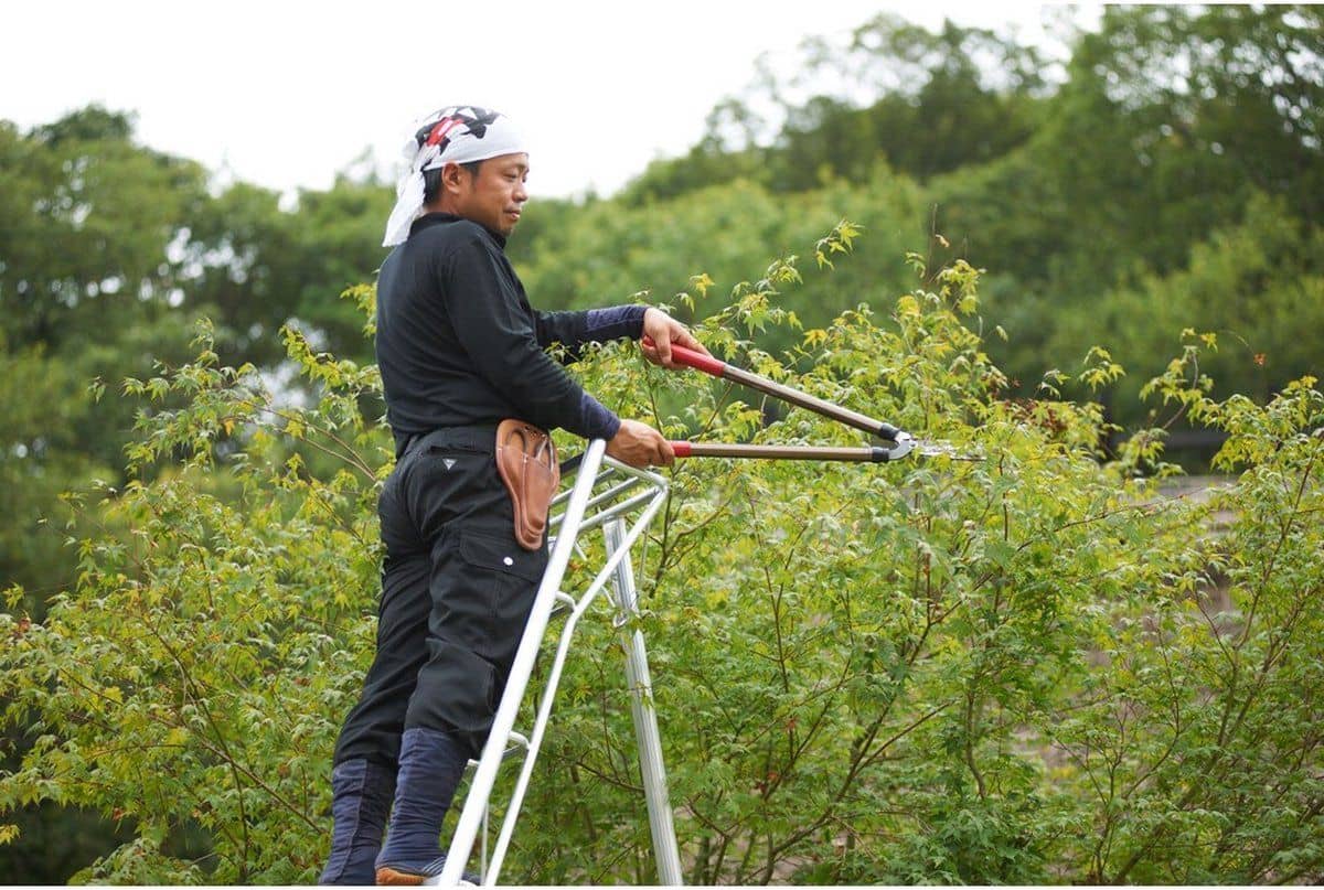 Niwaki Driepoot Tuinladder 300 cm Snoeiladder Tripod Ladder - Plukladder NW03000