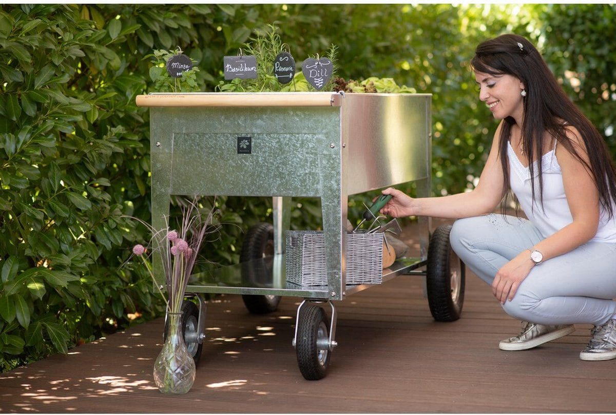 Herstera Garden® Metalen Plantenbak Verrijdbaar- 120x60x84cm - Zilverkleurig Herstera Garden® Metalen Plantenbak Verrijdbaar- 120x60x84cm - Zilverkleurig