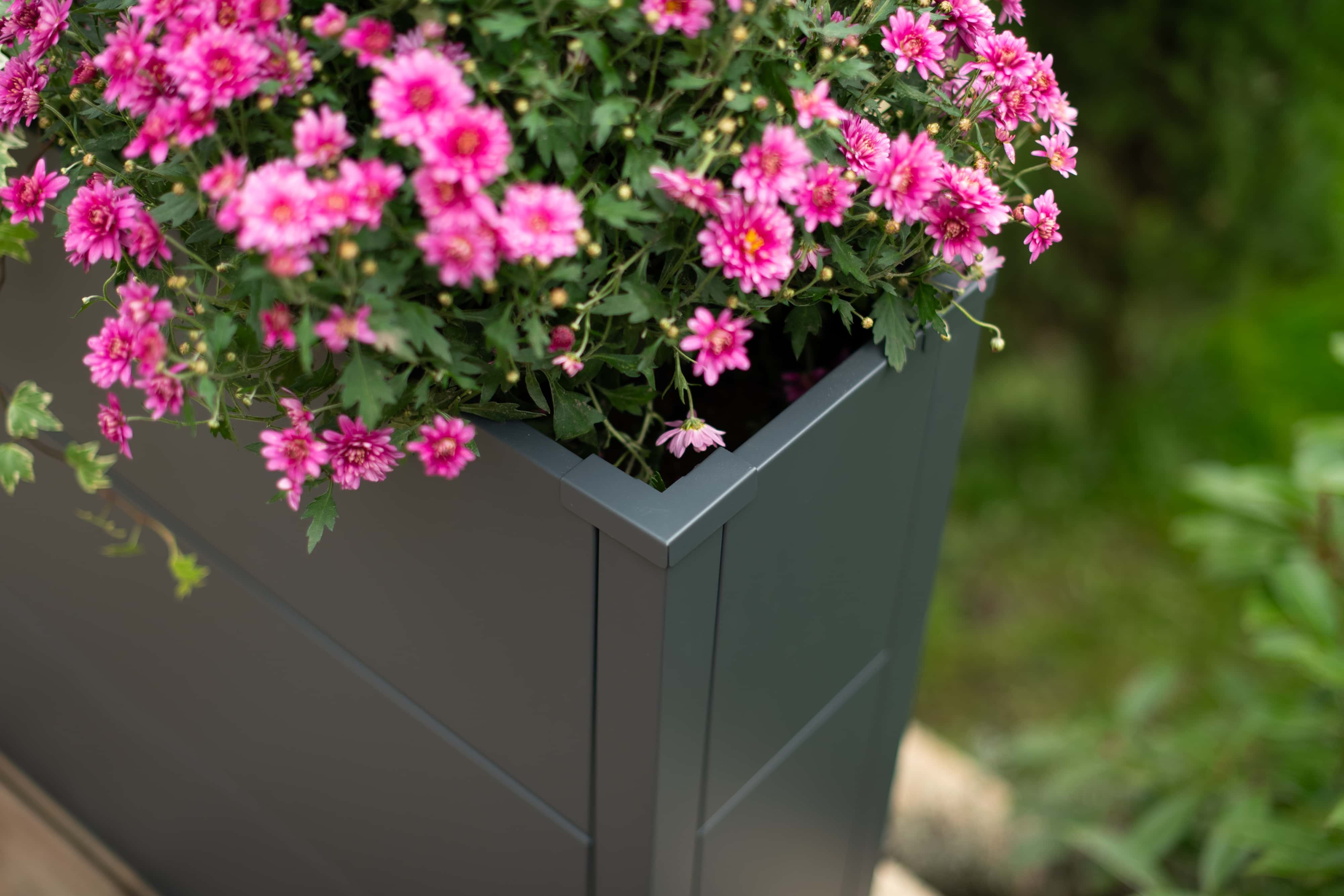 Westmann Talus XL - Metalen Plantenbak met bodem 100x25x77 cm - Antraciet
