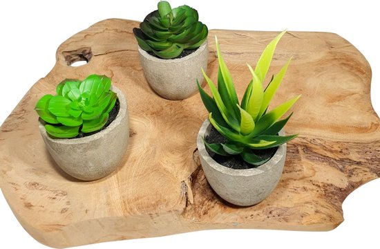 GreenDream® 3 stuks Kunstplanten - Kamerplanten - Nep planten - Vetplanten - Cadeautip