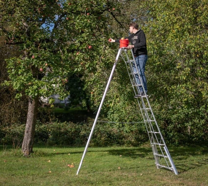 Niwaki Driepoot Tuinladder 300-360 cm Verstelbaar/ Snoeiladder Plukladder Niwaki Driepoot Tuinladder 300-360 cm Verstelbaar/ Snoeiladder Plukladder