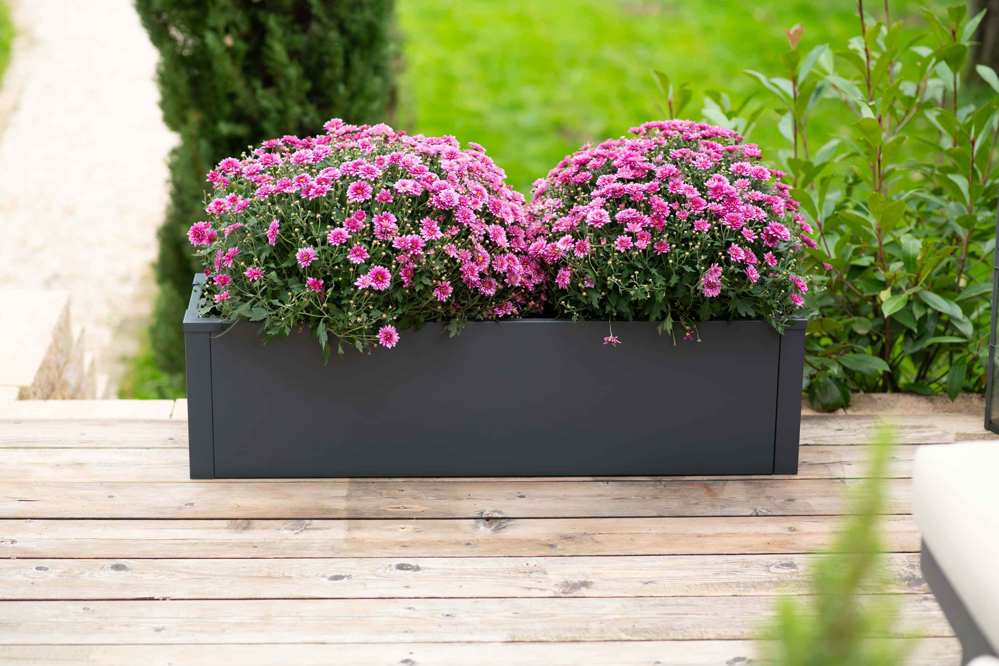 Westmann Talus M - Metalen Plantenbak met bodem 100x25x27 cm - Antraciet