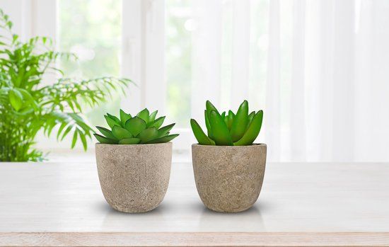 GreenDream Mini Kunstplanten - Vetplanten in Pot 6 stuks - Cadeautip