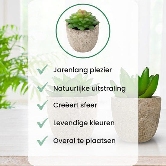 GreenDream Mini Kunstplanten - Vetplanten in Pot 6 stuks - Cadeautip