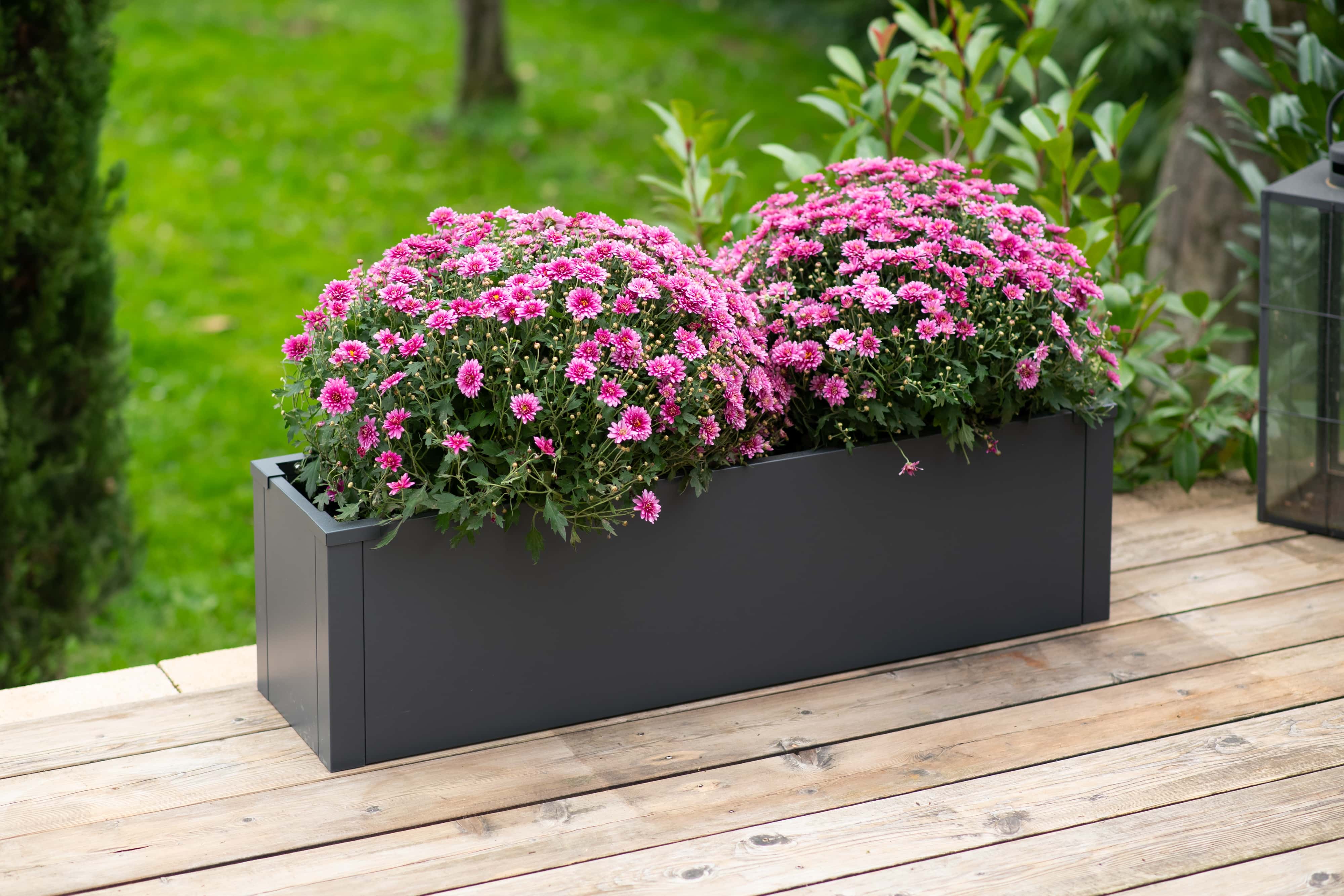 Westmann Talus M - Metalen Plantenbak met bodem 100x25x27 cm - Antraciet