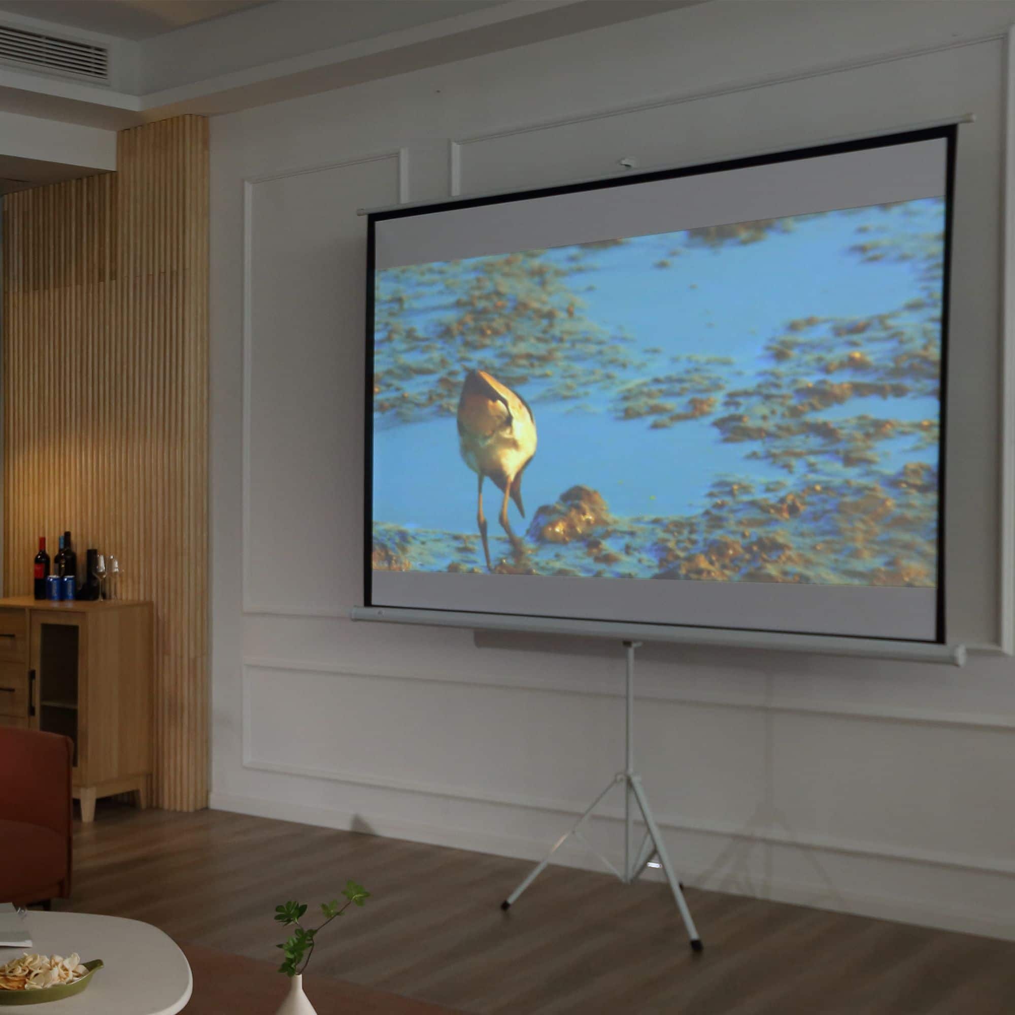 4goodz HD Beamer Projectiescherm Staand 100 inch - 203x152 cm - Wit