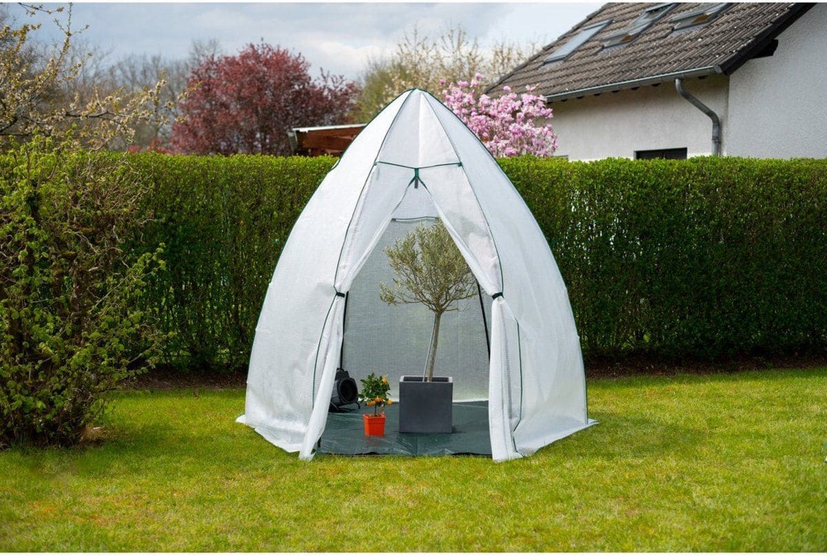 Westmann Avocado - Overwinteringstent voor planten - 250x250 cm