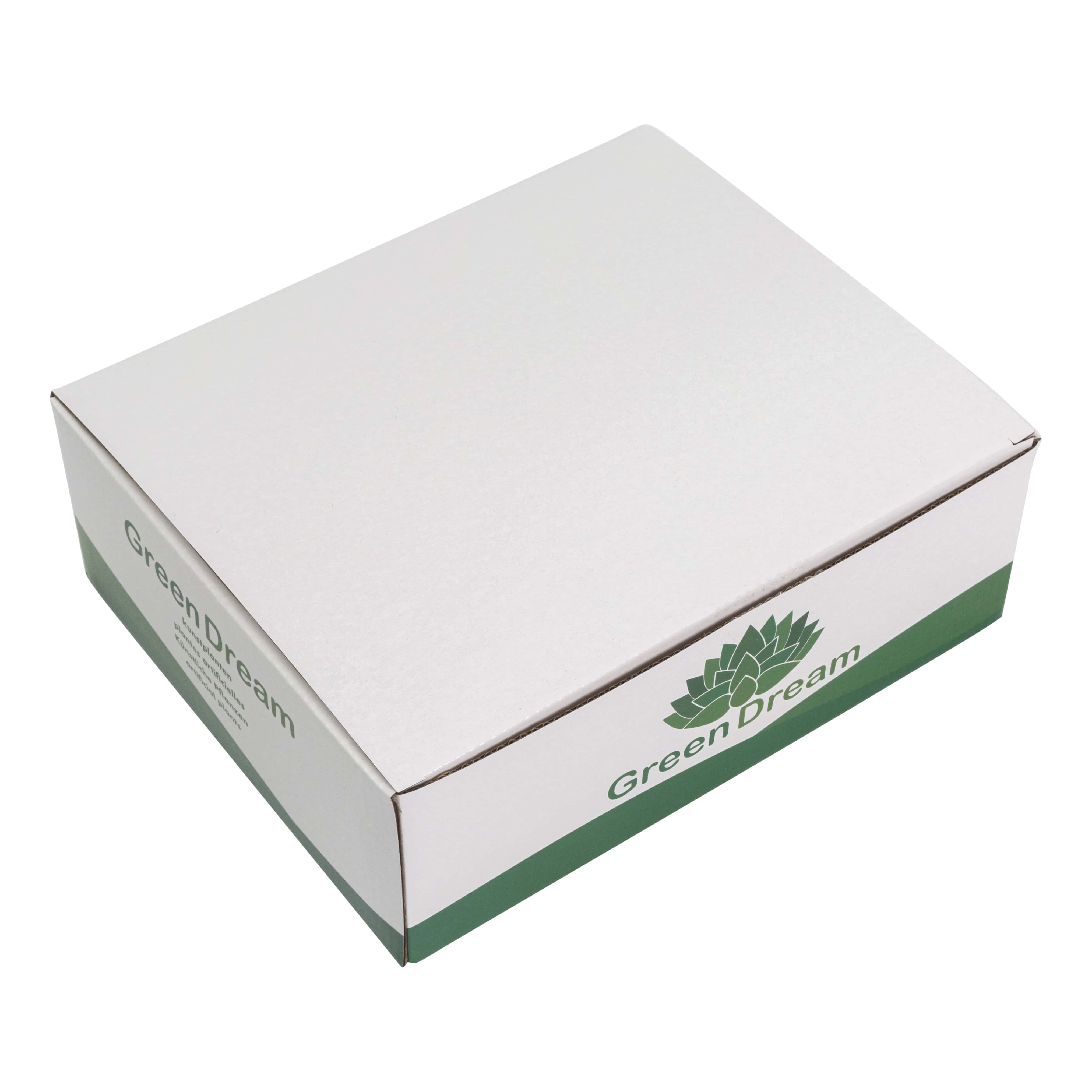 GreenDream® 3 stuks Kunstplanten - Nep planten Vetplanten - Cadeautip