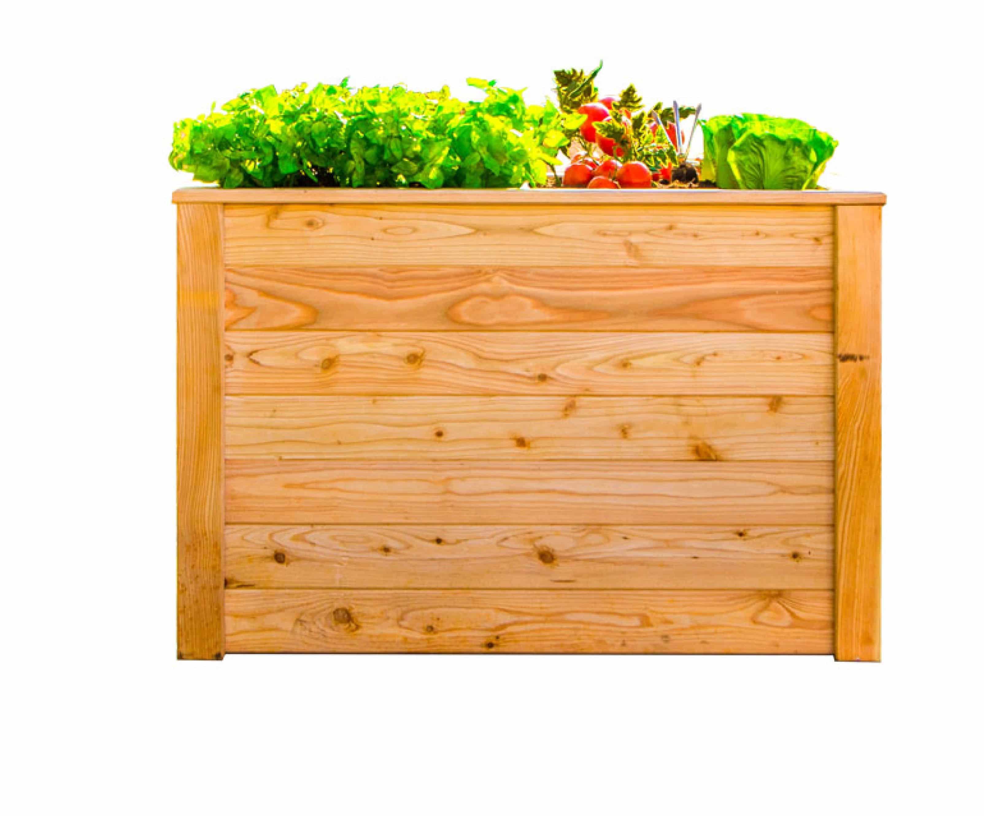 Westmann Plantenbak Kruidenbak WMHL100 - 100x65x66 cm