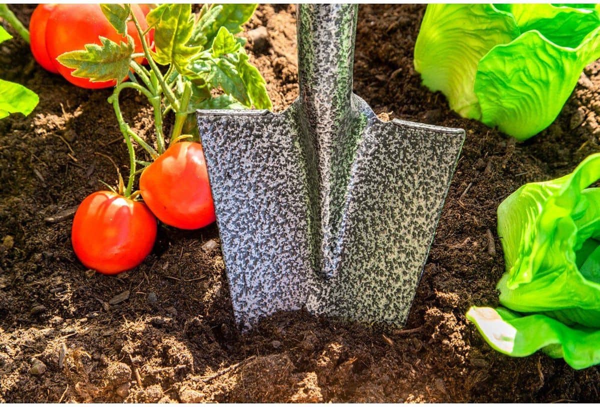 Spear Head Spade SHLF2 Tuinschep 148 cm - tuinschop, schep, schop