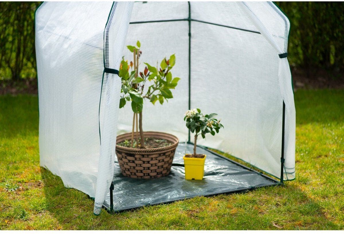 Westmann Chili - Overwinteringstent voor planten - 12x120x180 cm