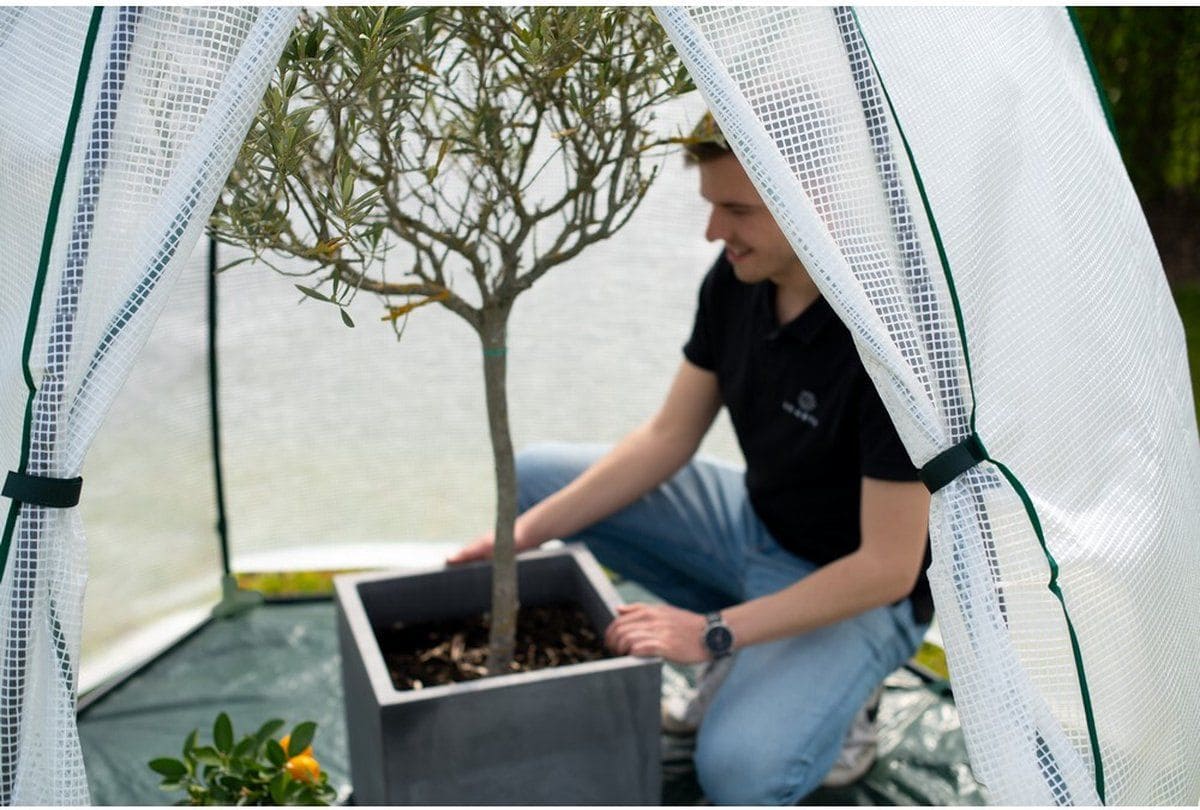 Westmann Munt - Overwinteringstent voor planten WMHDZ02001 200x200 cm Westmann Munt - Overwinteringstent voor planten WMHDZ02001 200x200 cm