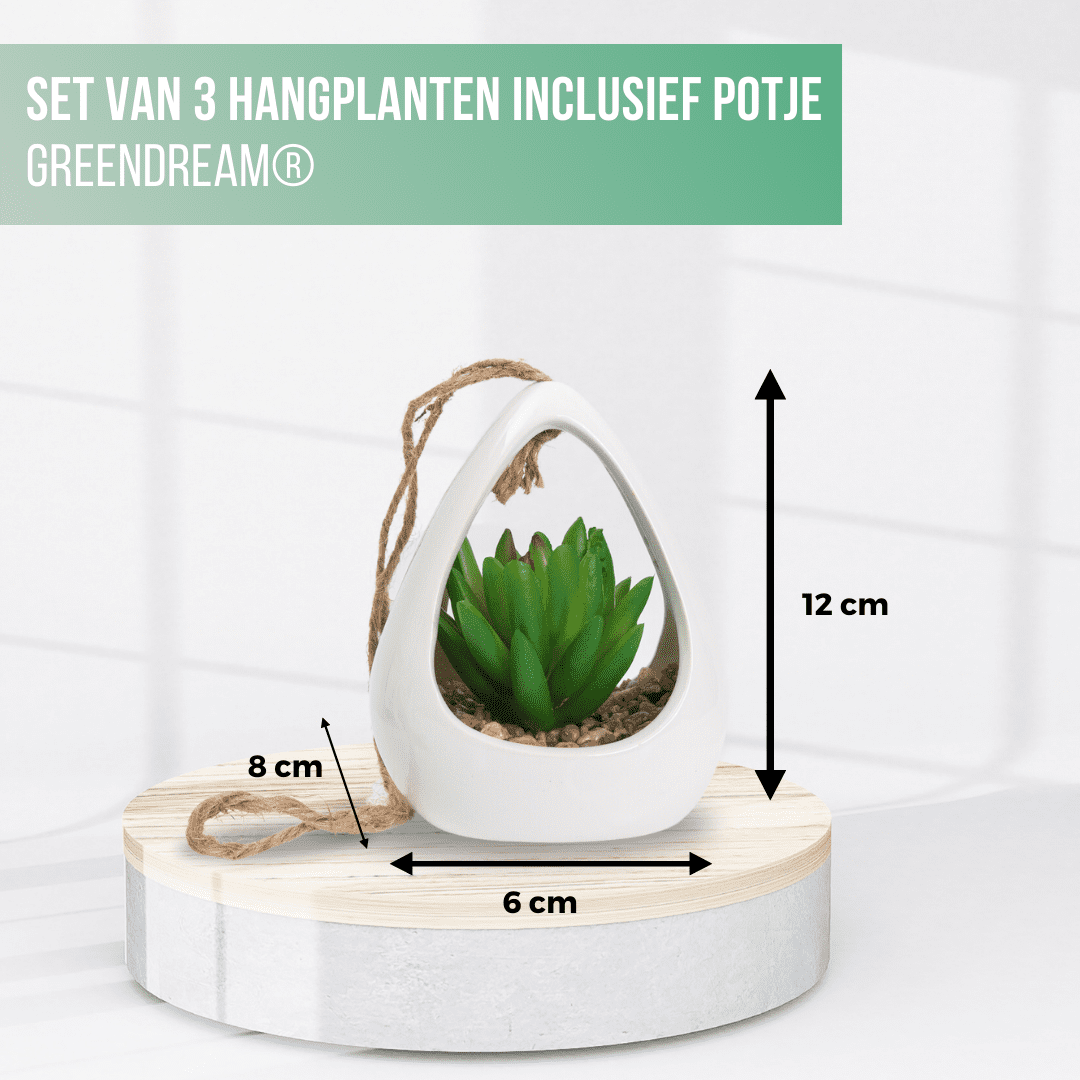 GreenDream® Kunstplanten - 3 stuks Hangplanten in Hanger - Kunstplant - Cadeautip - Wit
