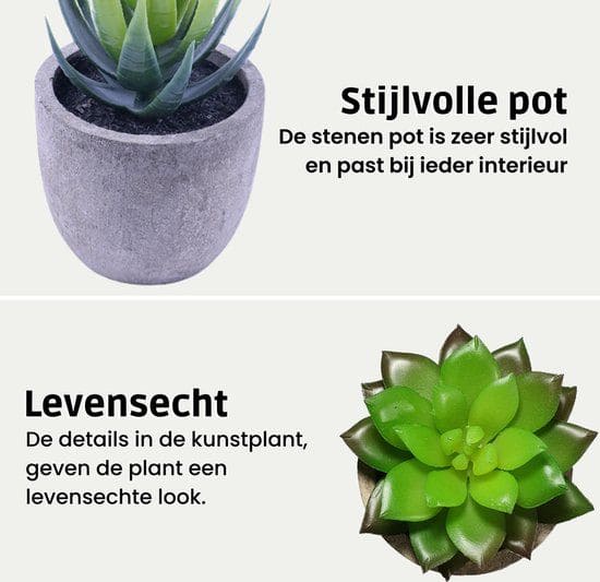 GreenDream Mini Kunstplanten - Vetplanten in Pot 6 stuks - Cadeautip