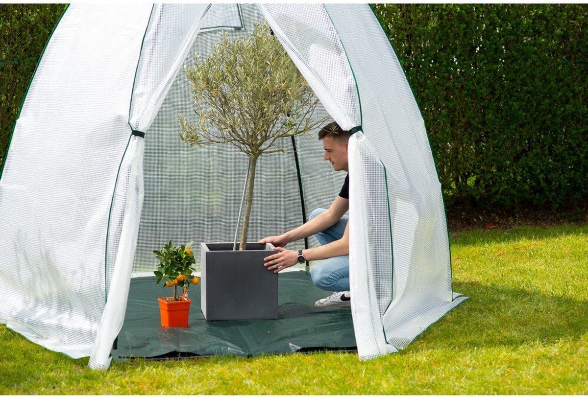 Westmann Avocado - Overwinteringstent voor planten - 250x250 cm