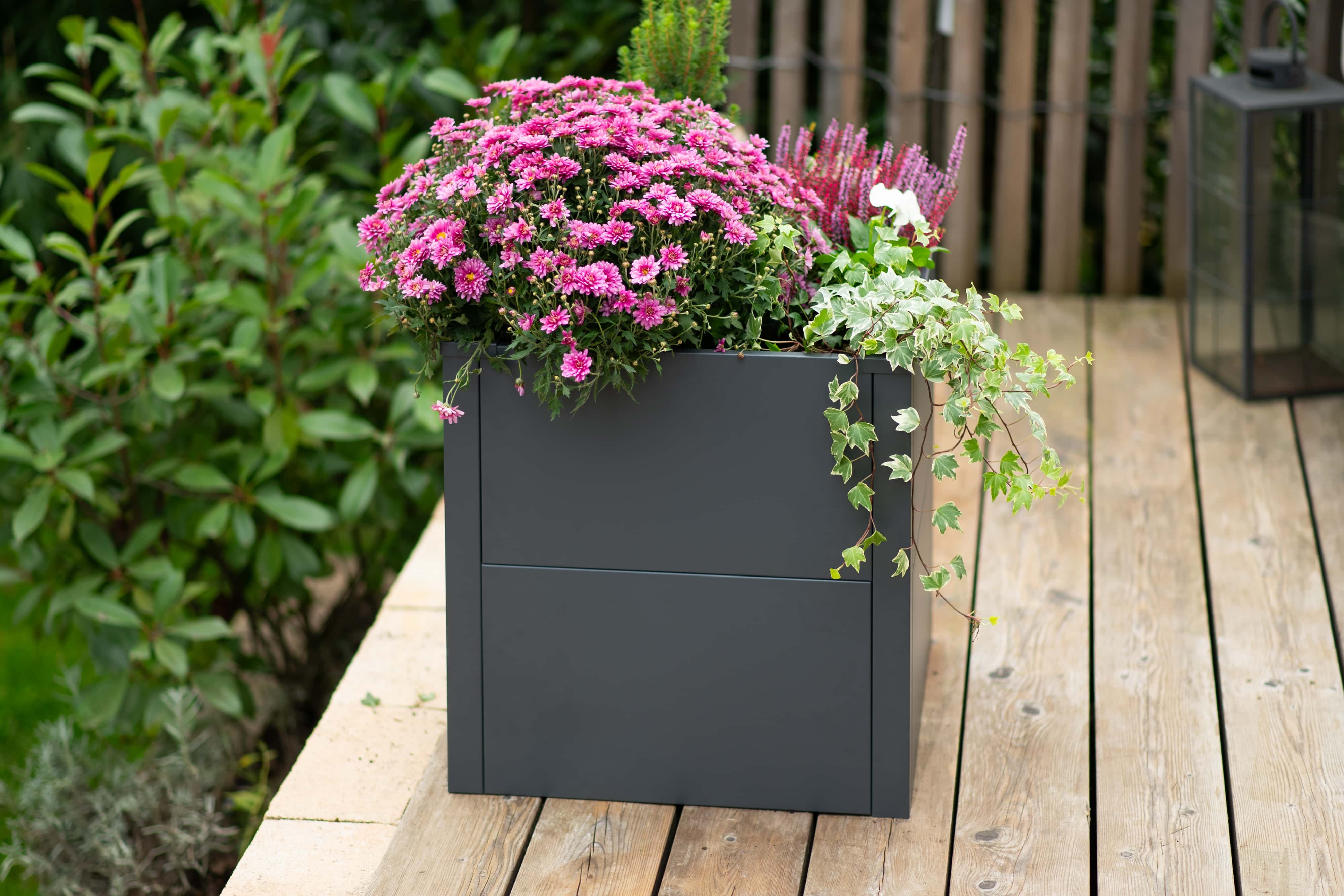 Westmann Talus S - Metalen Plantenbak met bodem 50x50x50 cm - Antraciet