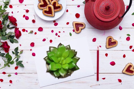 GreenDream Mini Kunstplanten - Vetplanten in Pot 6 stuks - Cadeautip