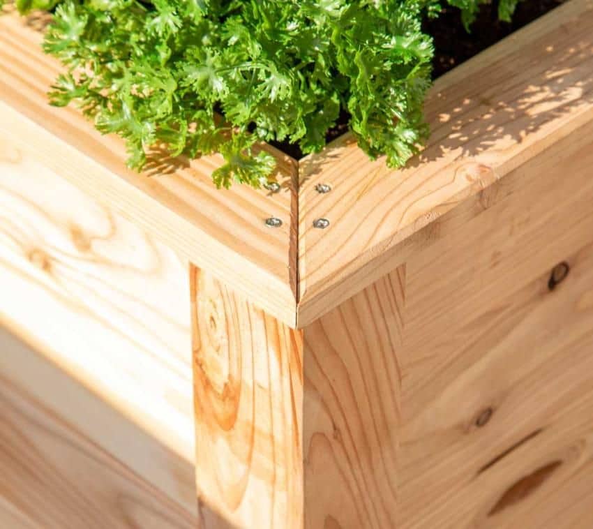 Westmann Plantenbak Kruidenbak WMHL100 - 100x65x66 cm