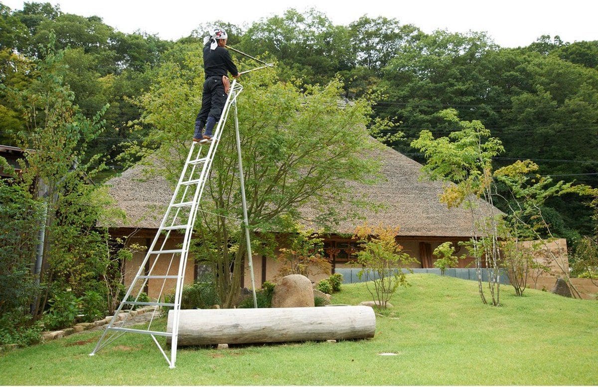 Niwaki Driepoot Tuinladder 360 cm Snoeiladder Tripod Ladder - Plukladder NW03600